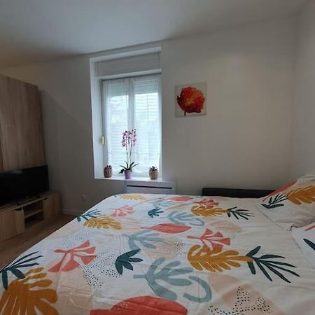 Studio Coquelicot Apartment Nancy Ngoại thất bức ảnh
